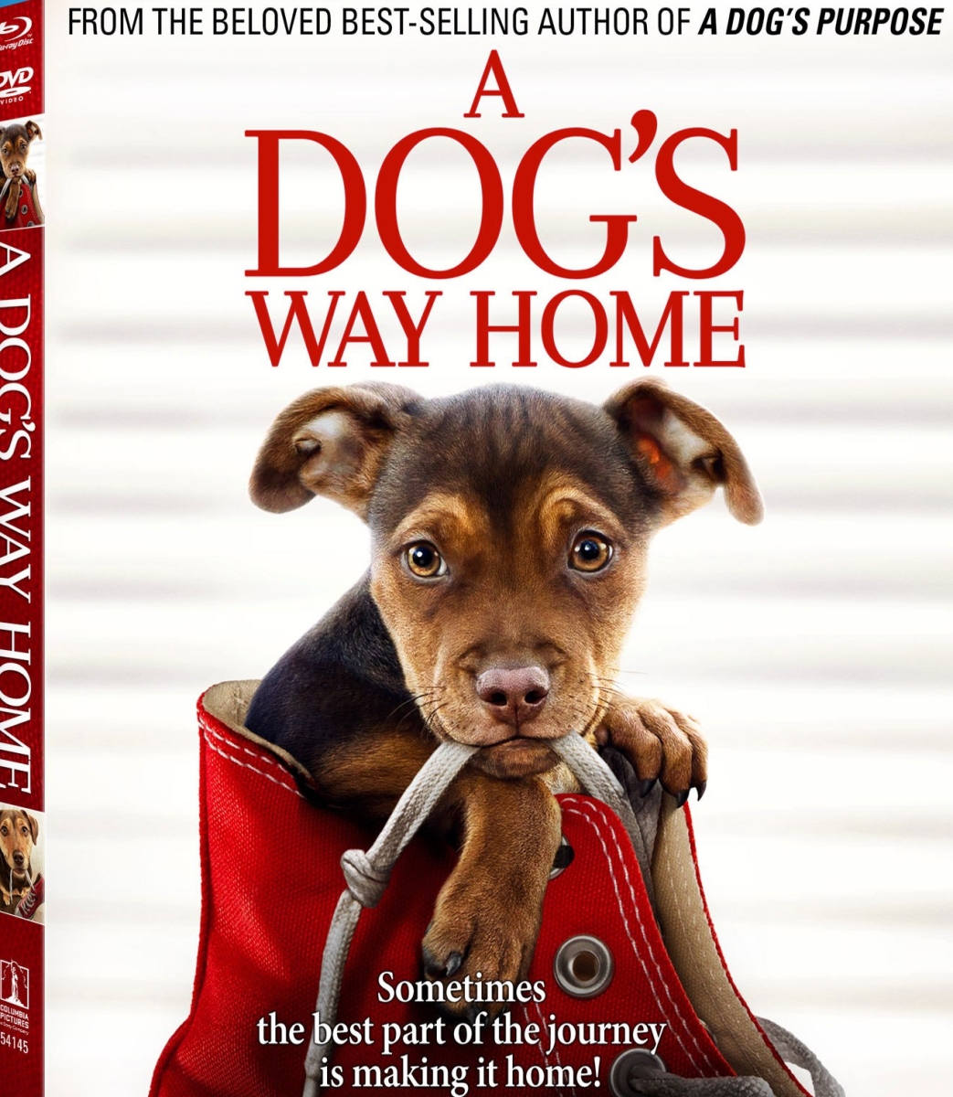 ‘A Dog’s Way Home’ Blu-ray Release Date Announcement – REEL TALKER